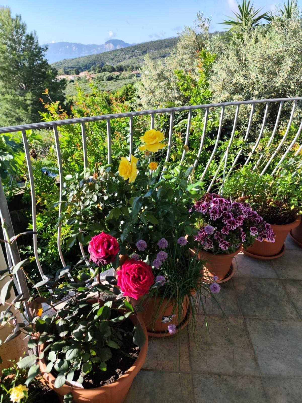 B&B Easy Wind Cala Gonone Exterior foto