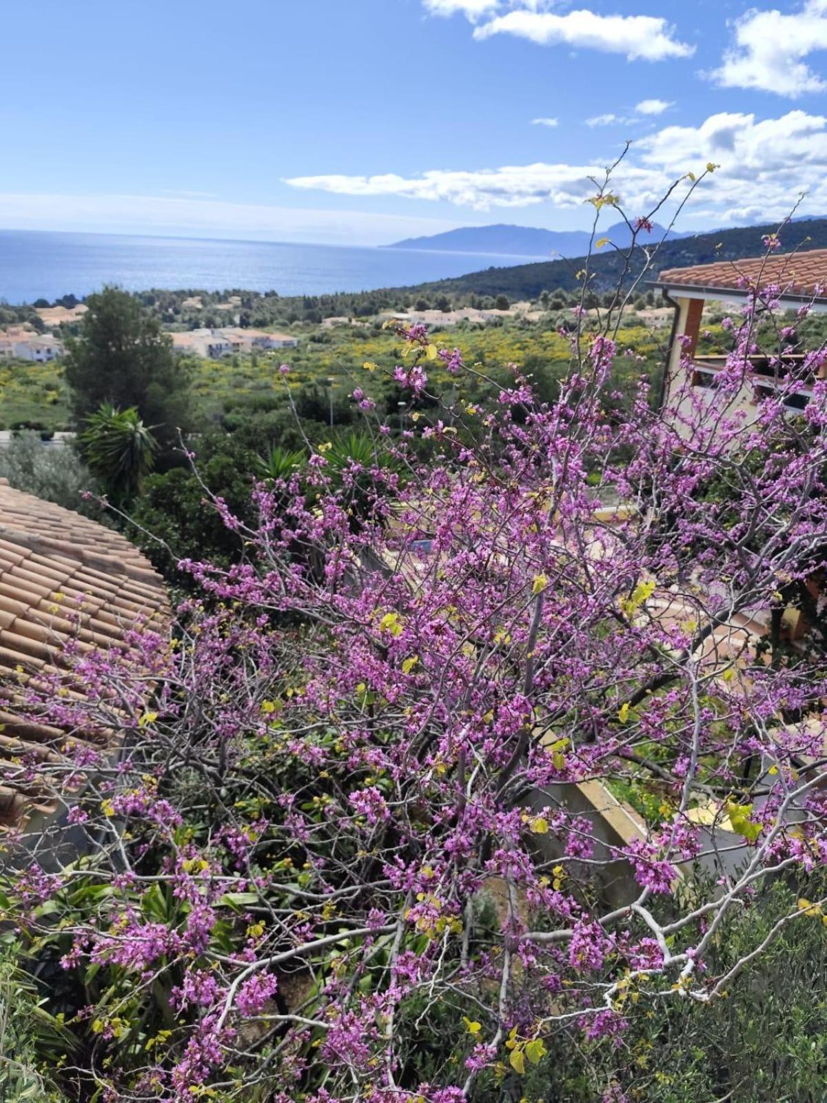 B&B Easy Wind Cala Gonone Exterior foto