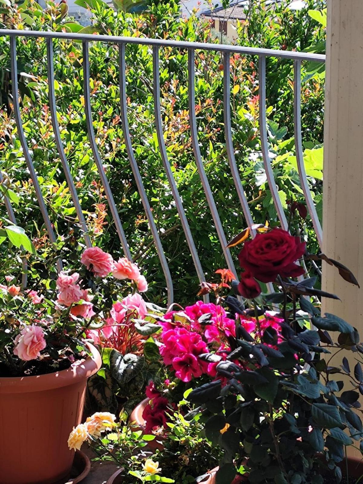 B&B Easy Wind Cala Gonone Exterior foto