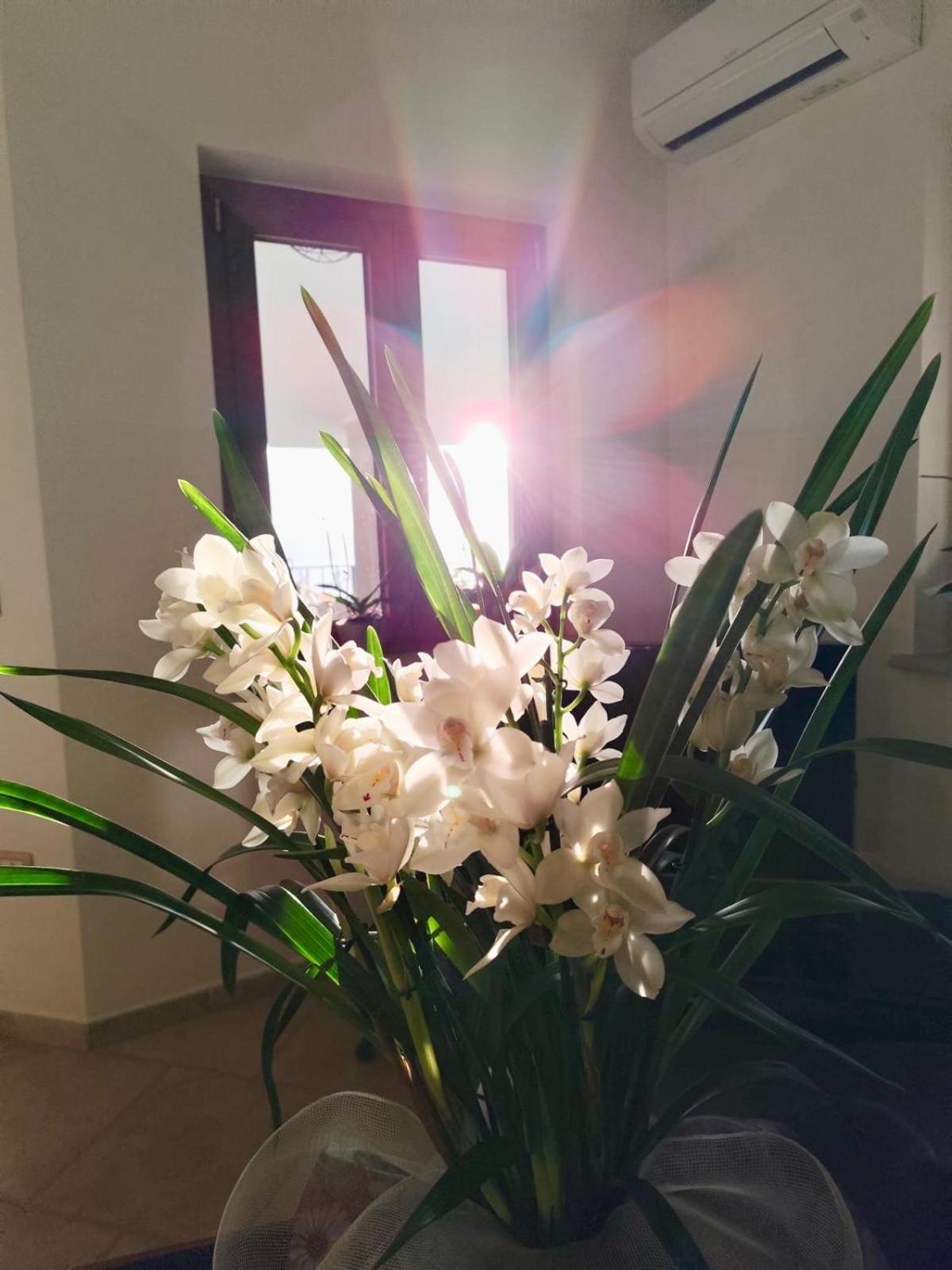 B&B Easy Wind Cala Gonone Exterior foto